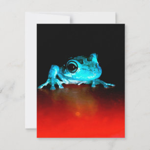 Invitation Grenouille verte Grenouille sauvage Amoureux des a