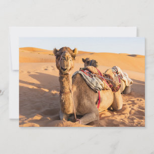 Invitation Gros plan sur un chameau dans le désert d'Oman