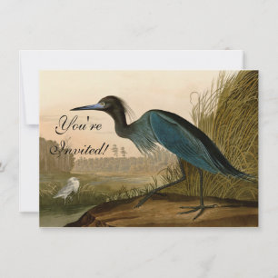 Invitation Grue bleue Héron Impression Audubon Art côtier