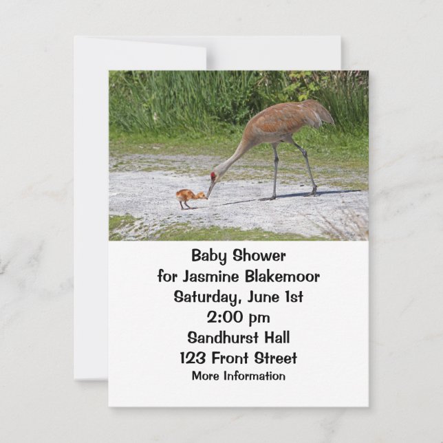 Invitation Grues de Sandhill d'oiseau de mère et d'oiseau de (Devant)