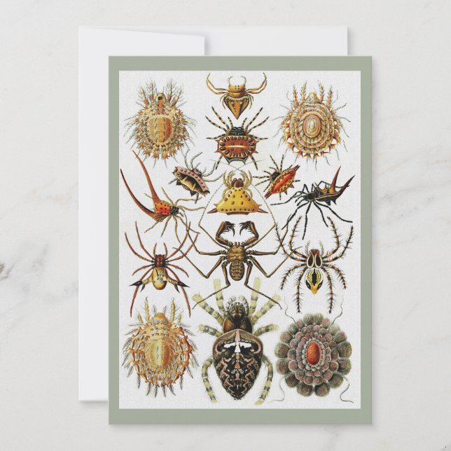 Invitation Haeckel Golden Spiders plaque 66 (Devant)