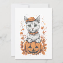 Halloween 6 kitty, jack-o-lanterne, cadeau, chaton