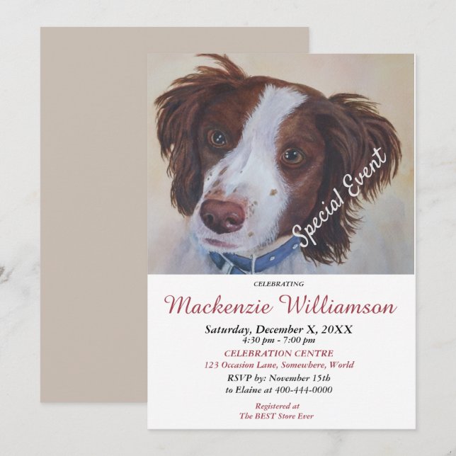 INVITATION HANDSOME SETTER PUPPY SOUHAITE HEUREUX ANNIVERSAIR (Devant / Derrière)