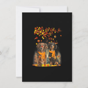 Invitation Happy Thanksgiving Dachshund F
