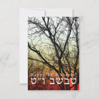 Heureux Tu B’Shevat ! : Jour de l'Arbour juif