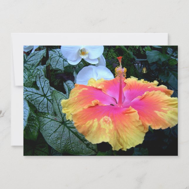 Invitation hibiscus (Devant)