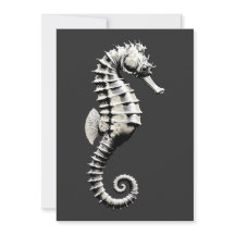Hippocampe