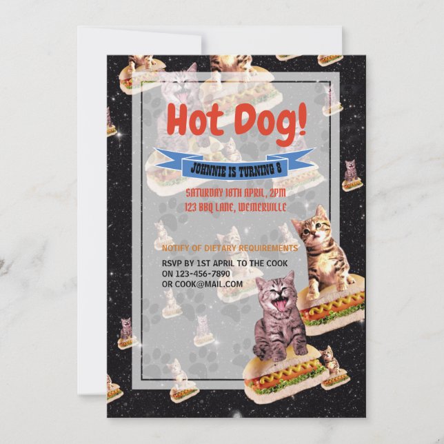 Invitation Hot Chig Cat Party (Devant)
