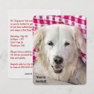 Invitation Hot Dog Fry