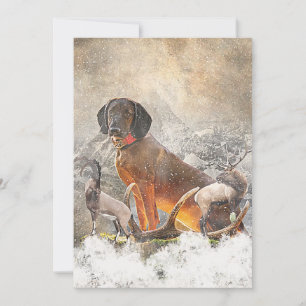 Invitation Hound de montagne bavarois, Art