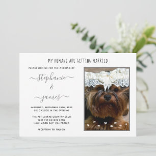 Invitation Humains Se Marier Amateurs De Animaux Mariages Pho