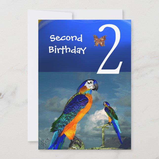 Invitation HYPER PARROTS / Deuxième fête d'anniversaire (Devant)