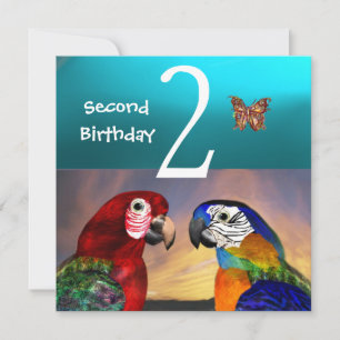 Invitation HYPER PARROTS /Deuxième fête d'anniversaire, Turqu