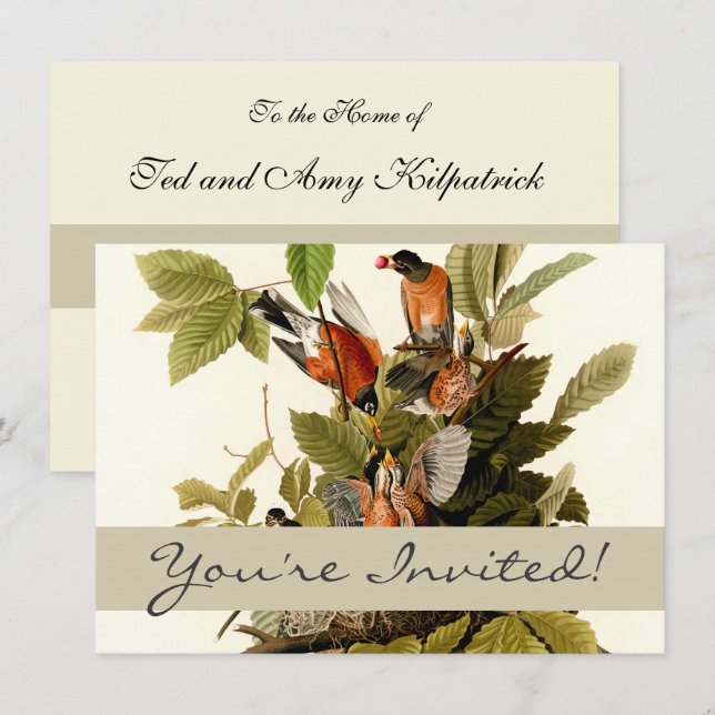 Invitation Illustration Audubon American Robin Wildlife Bird (Devant / Derrière)