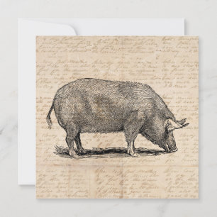 Invitation Illustration de cochon Style de papier de script d