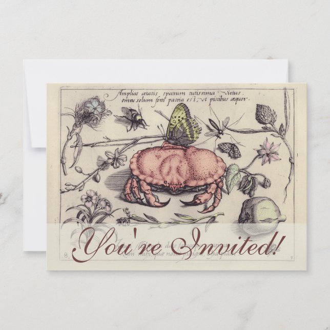 Invitation Illustration de la fleur d'insectes botaniques du  (Devant)