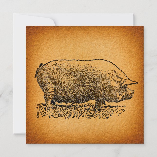 Invitation Illustration de l'art antique du cochon à l'occide (Devant)