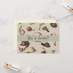 Invitation Illustration scientifique d'escargots de jardin vi