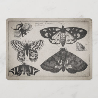 Invitation Illustration vintage d'abeille de papillon de mite