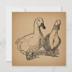 Invitation Illustration vintage Duck Art Two Ducks