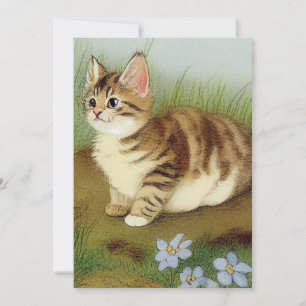 Invitation Illustration vintage Kitten avec fleurs