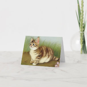 Invitation Illustration vintage Kitten avec fleurs