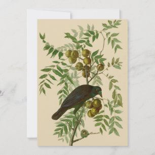 Invitation Impression d'oiseau Grackle violet d'Audubon Botan