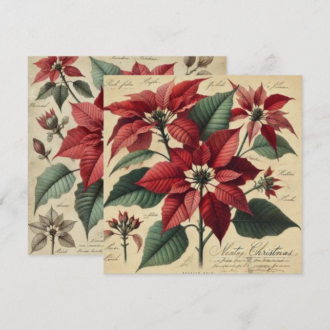 Invitation Imprimable Vintage Noël Poinsettia Botanique (Devant / Derrière)