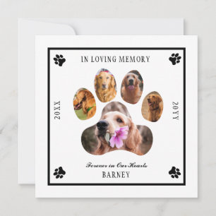 Invitation In Love Memory Photo Pet Memorial - Blanc Noir