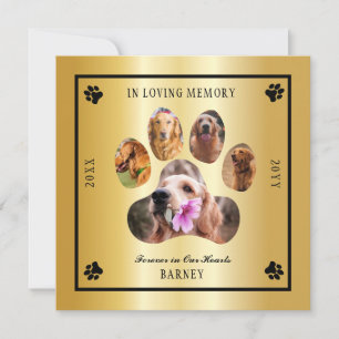 Invitation In Love Memory Photo Pet Memorial - Tone Or