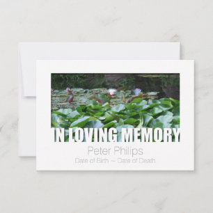 Invitation In Loving Memory Modèle 12 Célébration de la vie