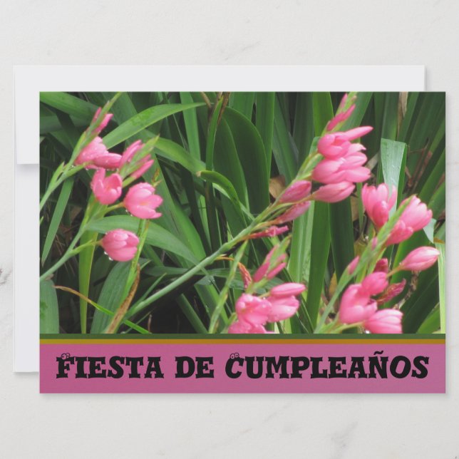 Invitation Invitación - Fiesta de Cumpleaños (Devant)