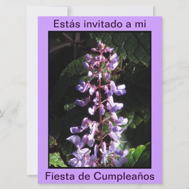 Invitation Invitación - Fiesta de Cumpleaños - Púrpura (Devant)