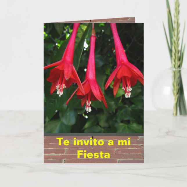 Invitation Invitación - fiesta - Flores de Fucsias (Devant)