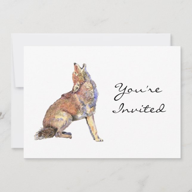 Invitation Invitation, Invitation,, Animal Coyote, Nature sau (Devant)