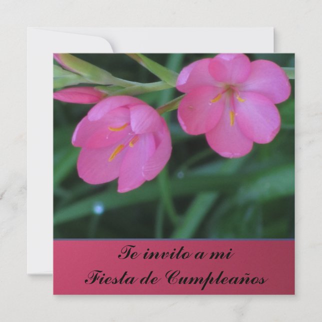 Invitation Invito d'Invitación - de Te par MI Fiesta de (Devant)