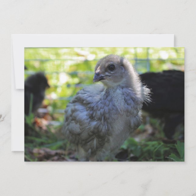 Invitation Jacinthe des bois (Devant)