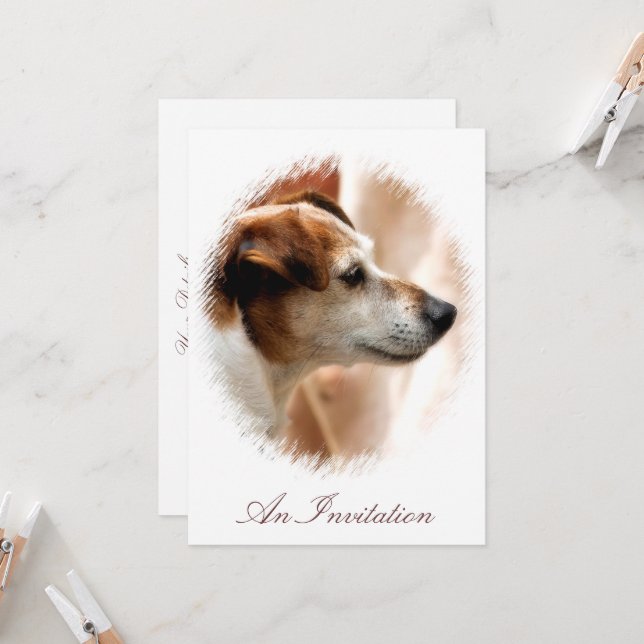 INVITATION JACK RUSSELL TERRIER CHIEN (Devant/Arrière en situation)