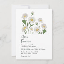 Jardin sauvage simple de marguerite