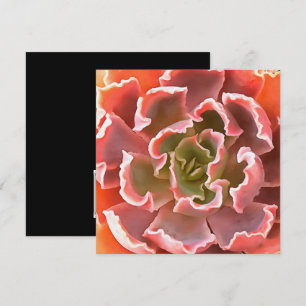 Invitation Jardin superbe Les tons roses Succulents Art réali