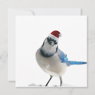 Invitation Jay Bleu
