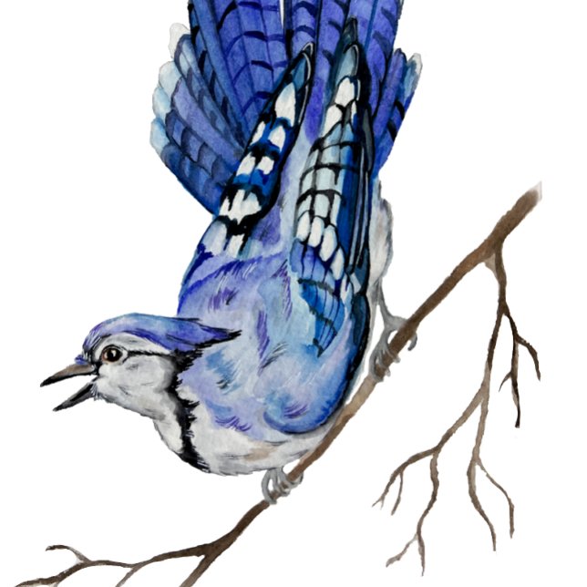 Invitation Jay bleu d'oiseau de la forêt (Créateur téléchargé)