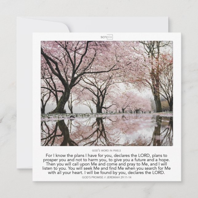 Invitation Jérémie 29:11-14 PROMESSE DE DIEU SCRIPIX (Devant)