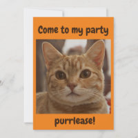 Jeu d'yeux brun de chat gingembre purse orange
