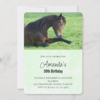 Joli cheval brun allongé dans l'herbe d'anniversai