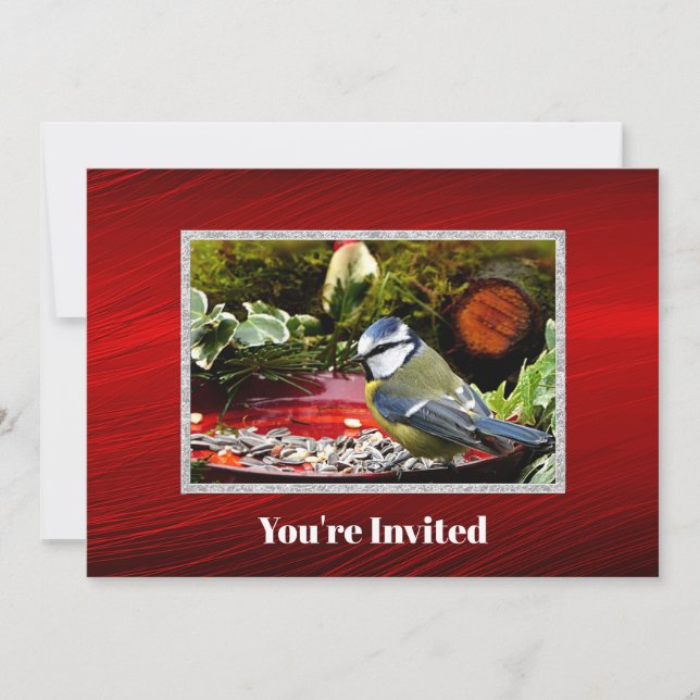Invitation Joli oiseau Rouge nourricier pin photo Anniversair (Devant)