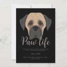 Jolie patte de chien de vie de fête 