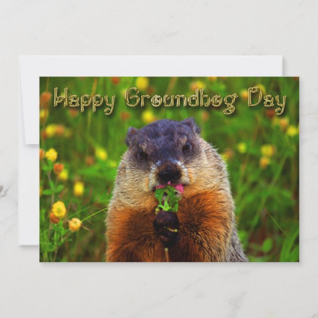 Invitation Jour de Groundhog heureux mangeant la fleur (Devant)