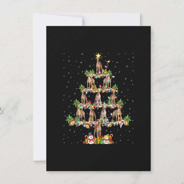 Invitation Joyau de Noël Père Noël Chien gris italien Noël (Devant)