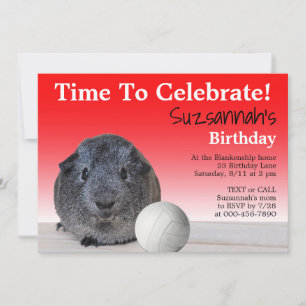 Invitation Joyeux Anniversaire Personnalisé de Volley-ball av
